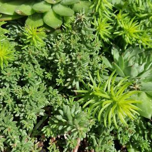 Meet your Posher, Lee